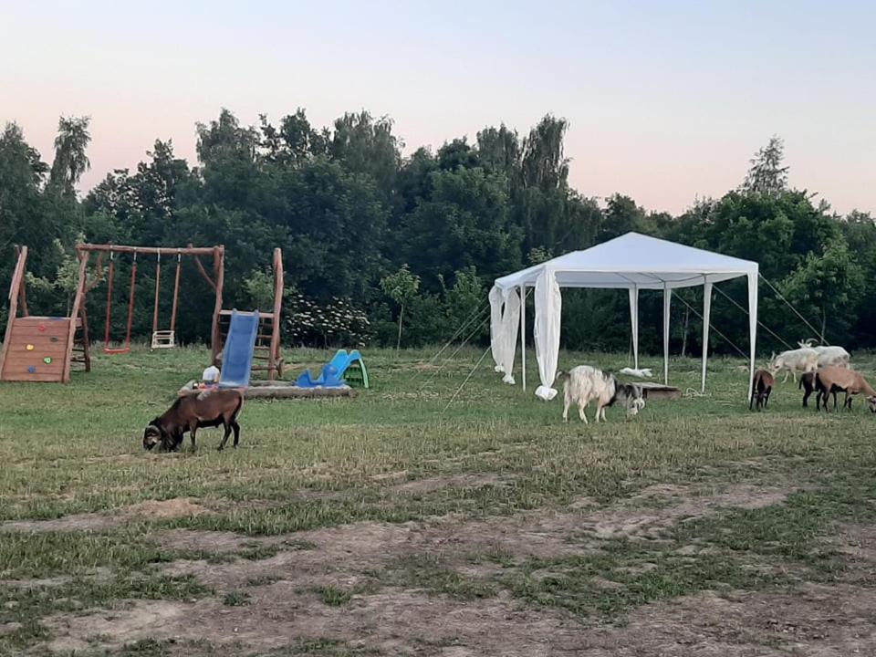 Willa Gosp. Agroturystyczne Stary Gaj Zerkowice Zewnętrze zdjęcie