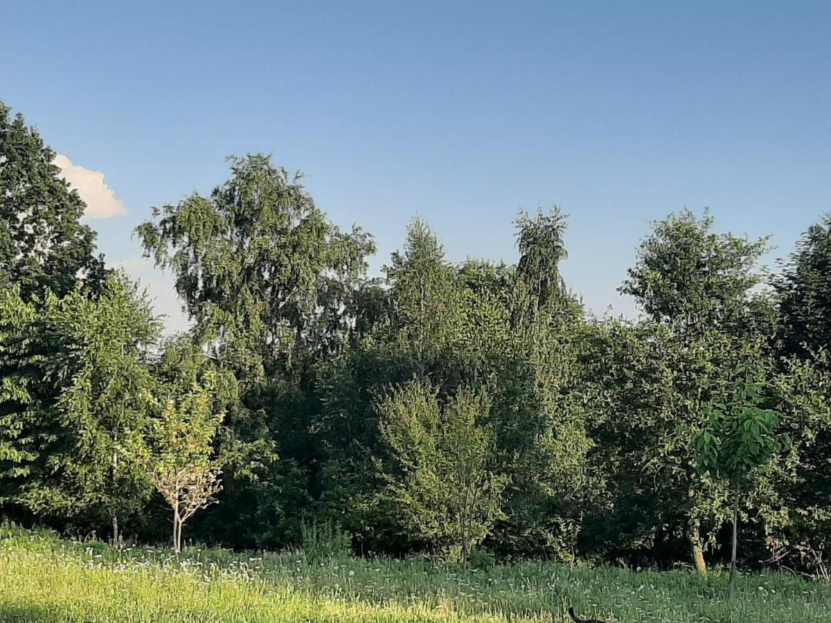 Willa Gosp. Agroturystyczne Stary Gaj Zerkowice Zewnętrze zdjęcie